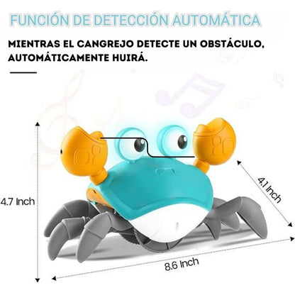 CANGREJO INTELIGENTE